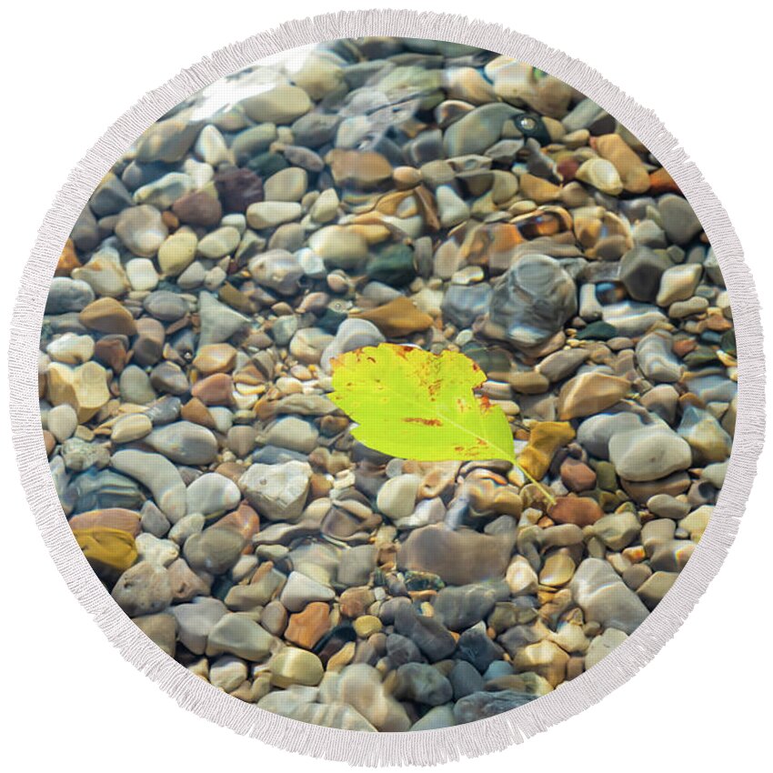 Torch Lake Round Beach Towel featuring the photograph Leaf at Torch Lake by Joe Kopp