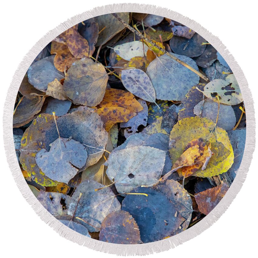 Leaves Round Beach Towel featuring the photograph Leaf Fall by Mark Hunter