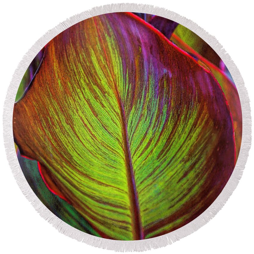 Colorful Round Beach Towel featuring the photograph Leaf Glow by Rochelle Berman