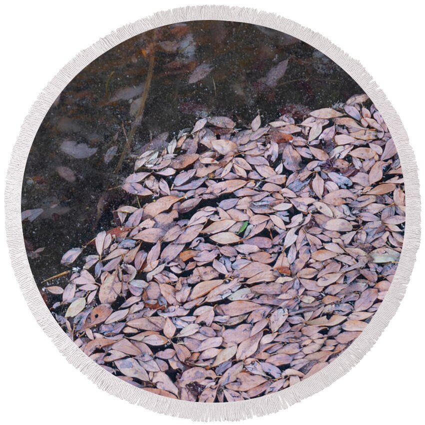 Leaves Round Beach Towel featuring the photograph Leaves And Ice by Karen Rispin