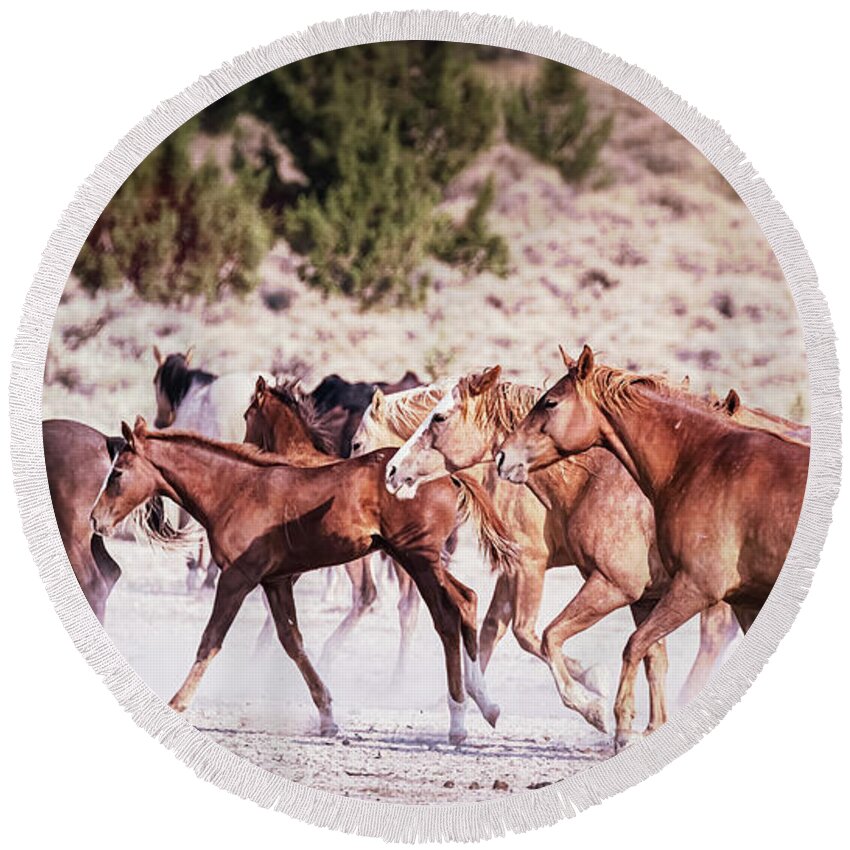 Wild Horses Round Beach Towel featuring the photograph Leaving the Waterhole - Palomino Butte Herd by Belinda Greb