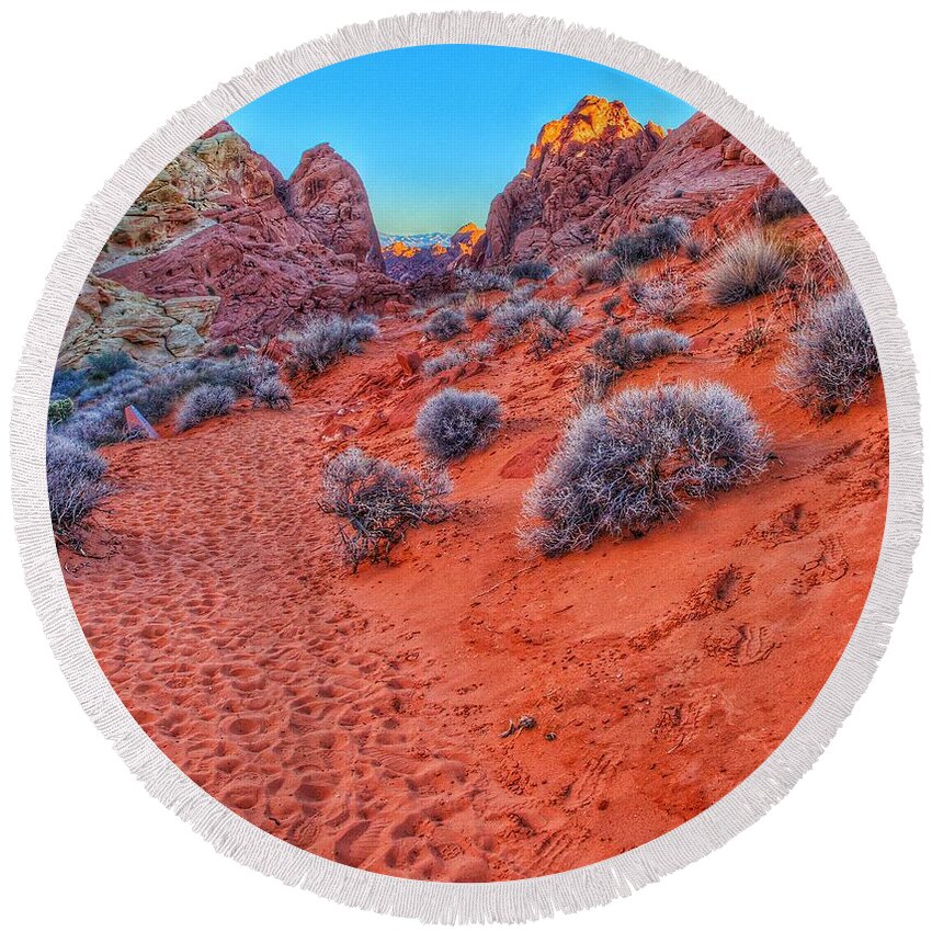  Round Beach Towel featuring the photograph Life on Mars 1 by Rodney Lee Williams