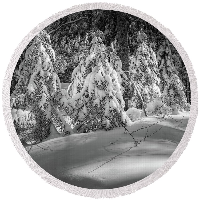 New Hampshire Round Beach Towel featuring the photograph Light In The Winter Wood by Jeff Sinon