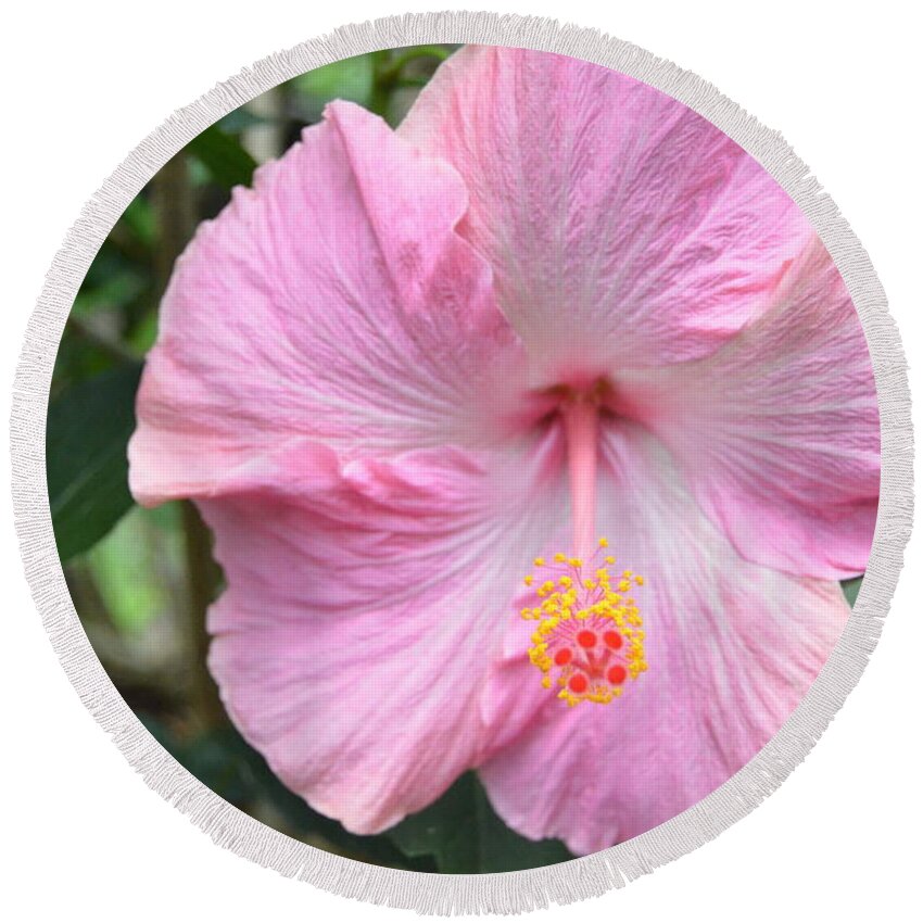 Flower Round Beach Towel featuring the photograph Light Pink Hibiscus 2 by Amy Fose