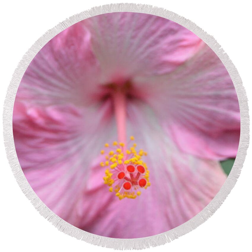 Flower Round Beach Towel featuring the photograph Light Pink Hibiscus 3 by Amy Fose
