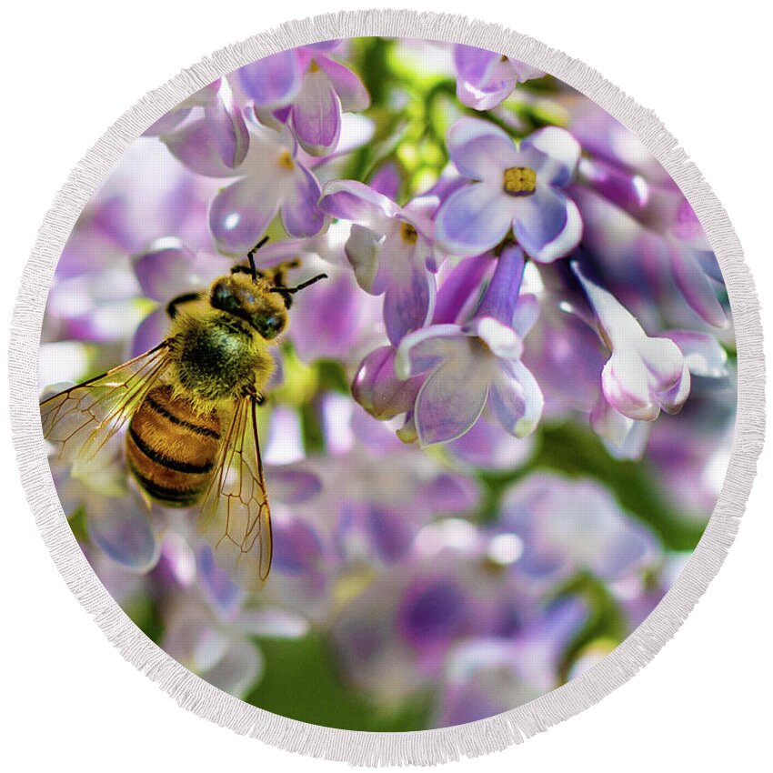 Lilac Round Beach Towel featuring the photograph Lilac Bee by Darcy Dietrich