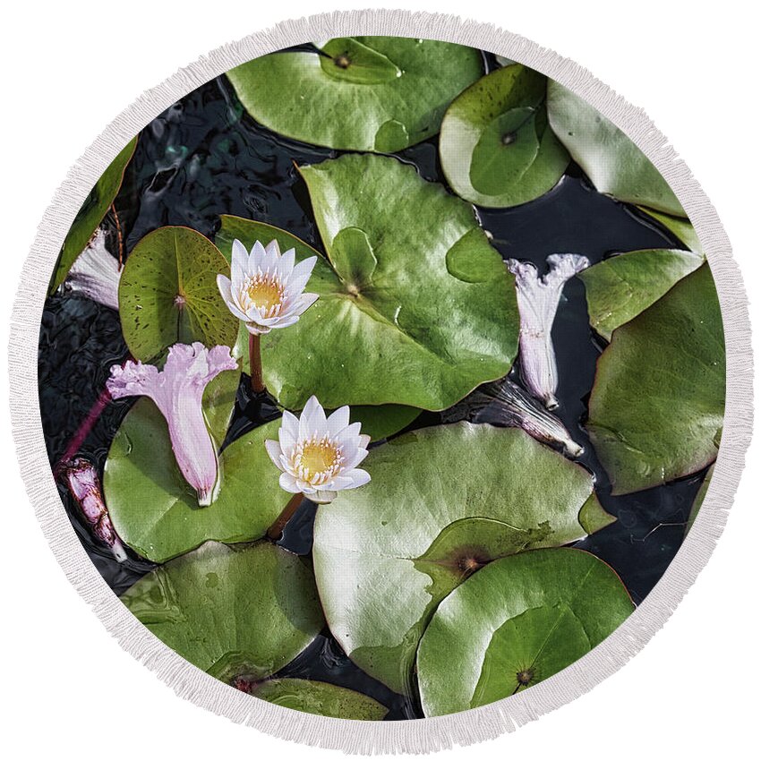Flower Round Beach Towel featuring the photograph Lily at Peace by Portia Olaughlin
