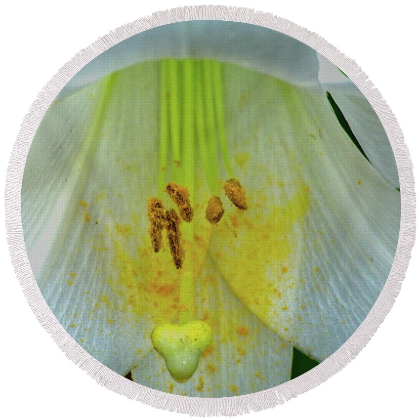 Nature Round Beach Towel featuring the photograph Lily by George Taylor