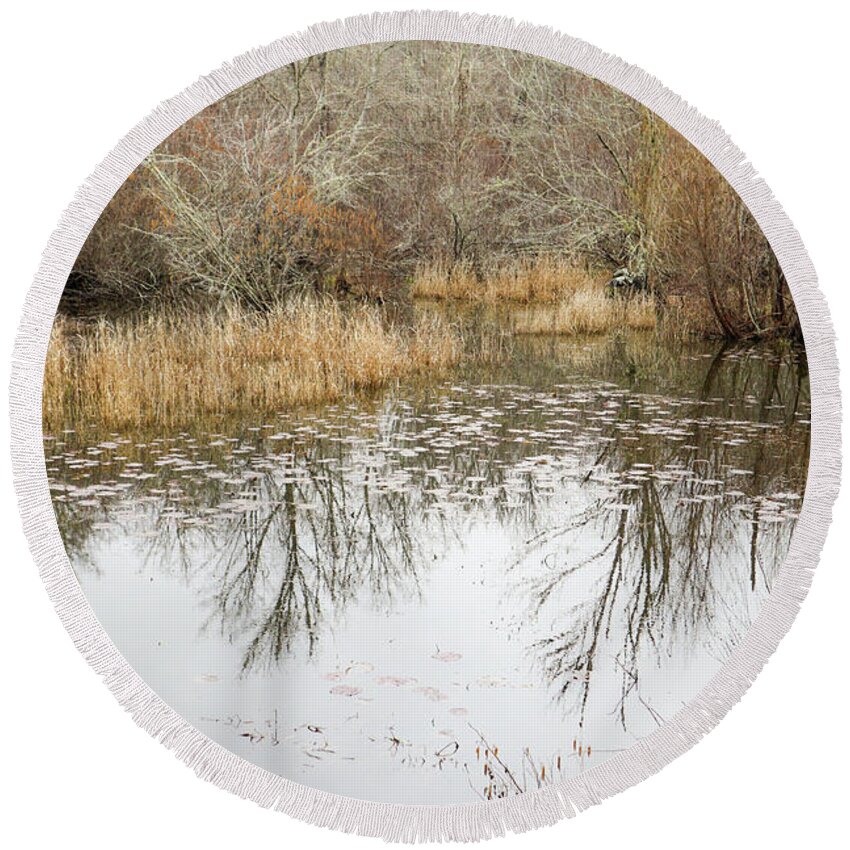 Pond Round Beach Towel featuring the photograph Lily Pad Pond Solace by Ed Williams