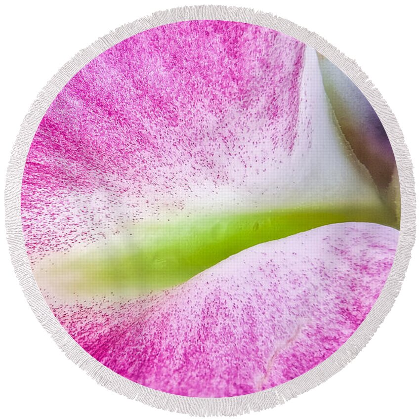 Lily Round Beach Towel featuring the photograph Lily Petal Macro Abstract by Stuart Litoff