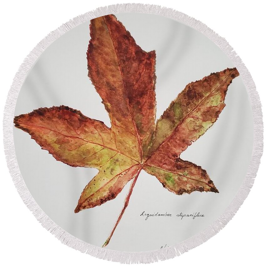 Botanical Round Beach Towel featuring the painting Liquidambar 3 - Watercolor by Claudette Carlton