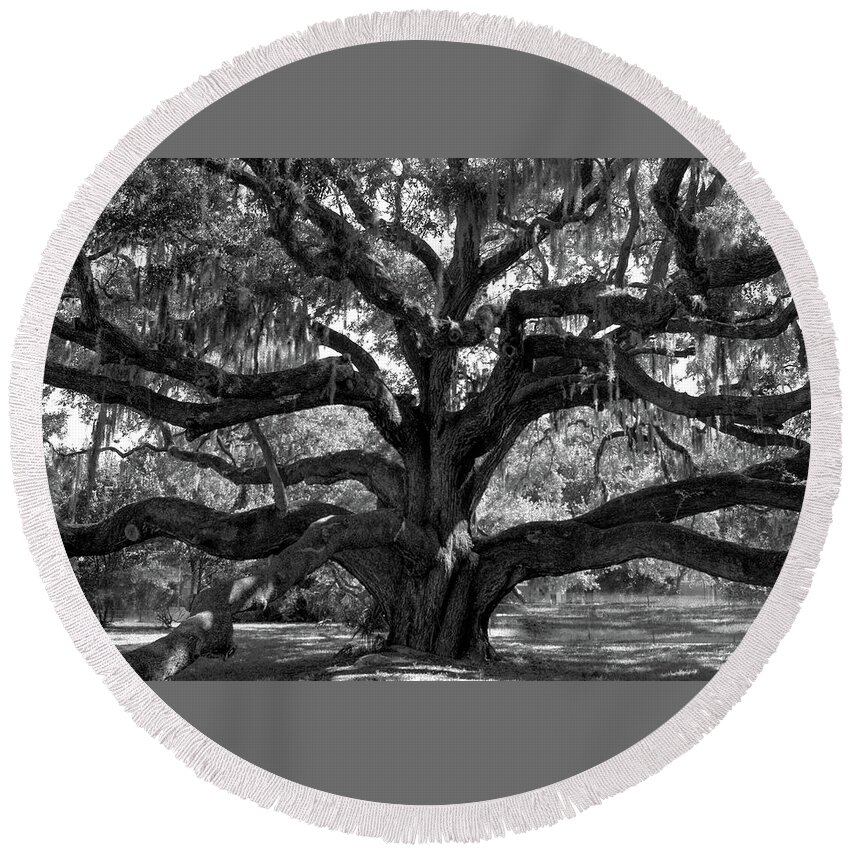 America Round Beach Towel featuring the photograph Live Oak Tree in Black and White by James C Richardson