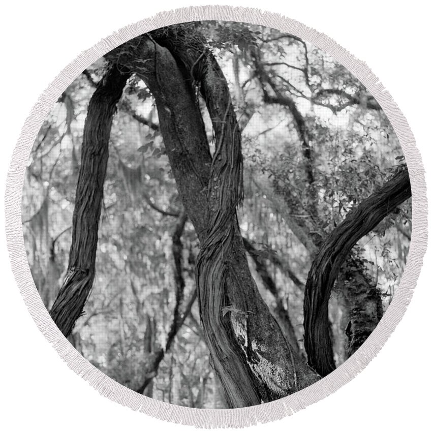 Horizontal Round Beach Towel featuring the photograph Live Oaks and vines, St. Simons Park by John Simmons