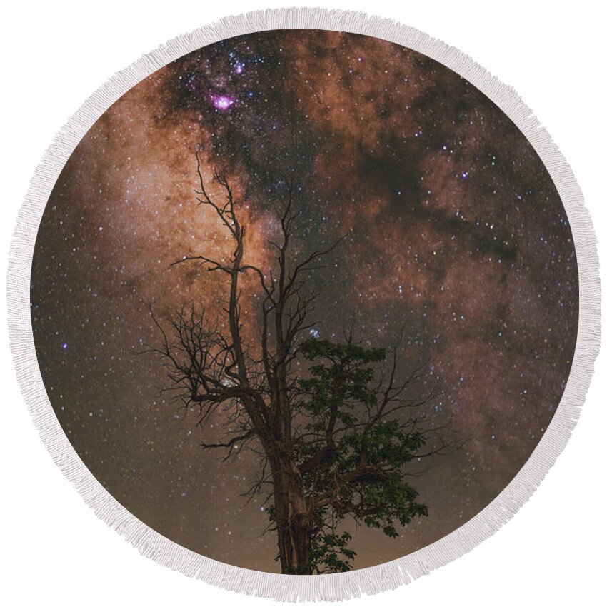 Nightscape Round Beach Towel featuring the photograph Lone Tree by Grant Twiss