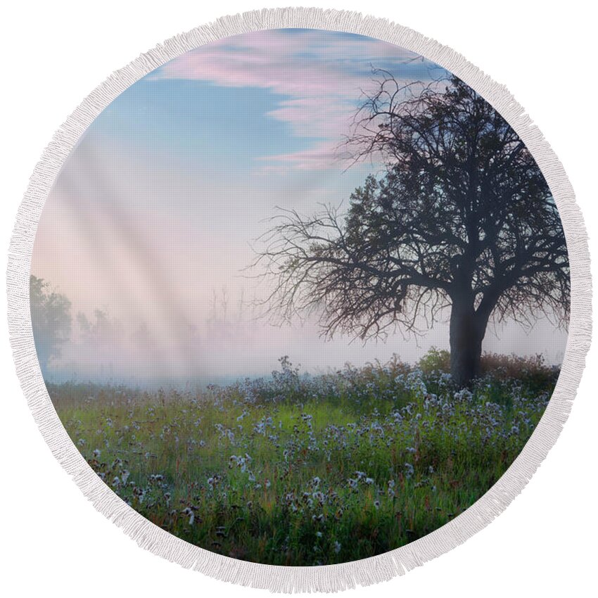 Tree Round Beach Towel featuring the photograph Lone Tree in Pasture by Dan Jurak