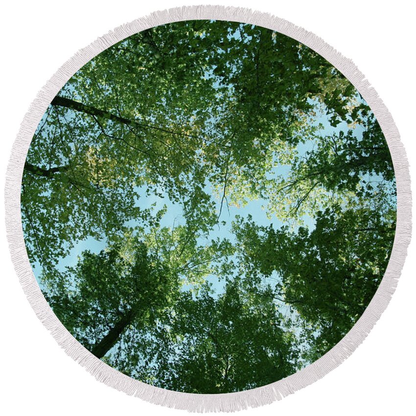Trees Round Beach Towel featuring the photograph Looking Up by Terri Harper