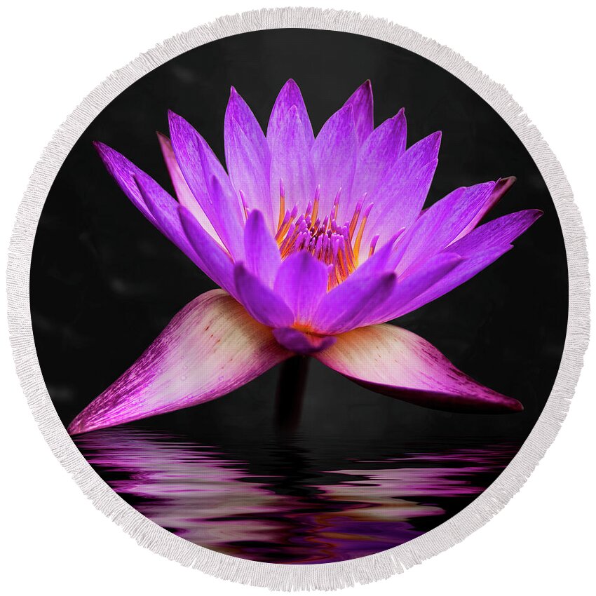3scape Round Beach Towel featuring the photograph Lotus by Adam Romanowicz