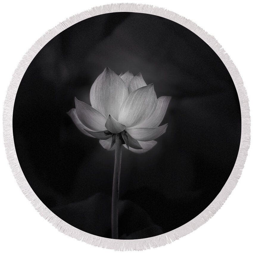 Lotus Flower Round Beach Towel featuring the photograph Lotus flower in black and white by Alessandra RC