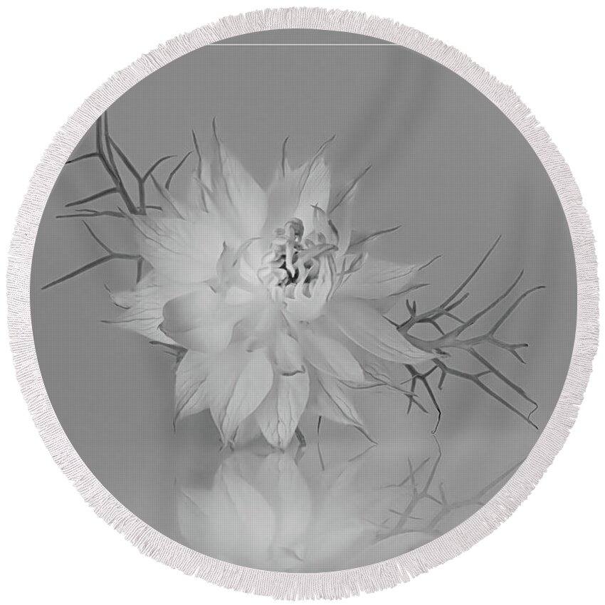 Love In A Mist Round Beach Towel featuring the photograph Love in a Mist in black and white by Sylvia Goldkranz