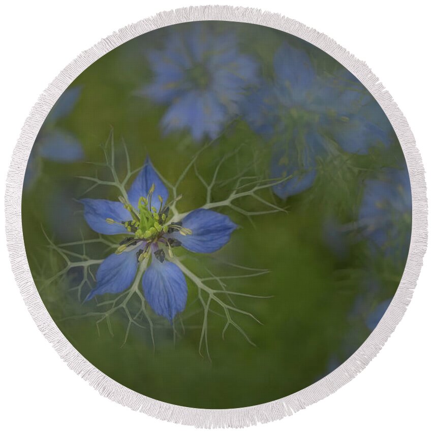 Love In A Mist Round Beach Towel featuring the photograph Love in a Mist in Nature by Sylvia Goldkranz