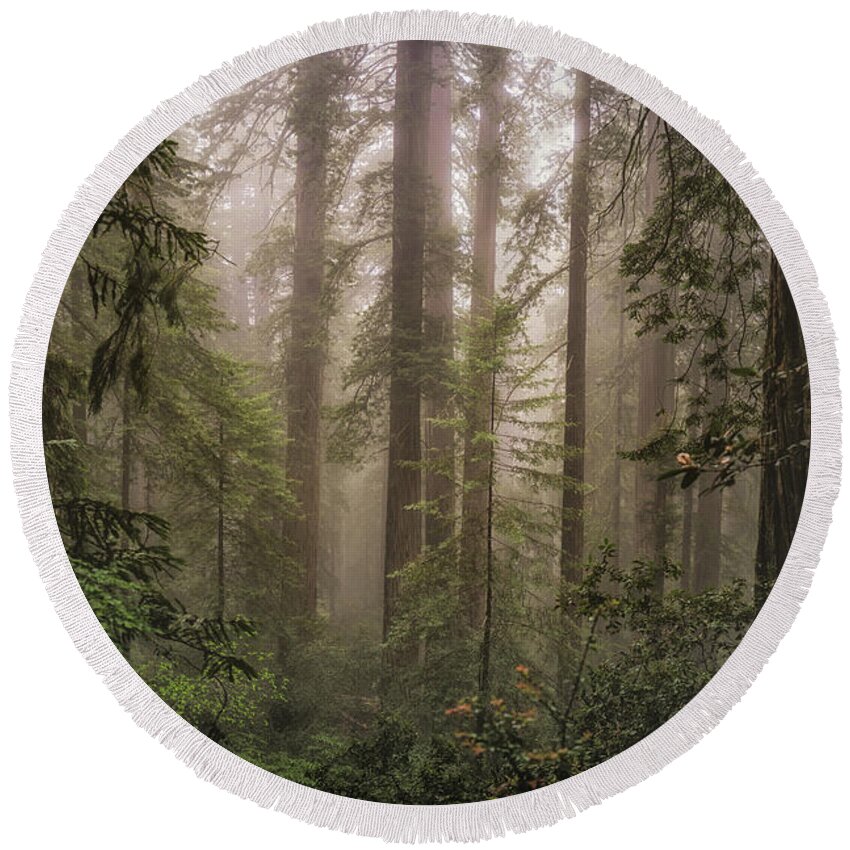 Redwoods Round Beach Towel featuring the photograph Lovely, Dark, and Deep by Jason Roberts