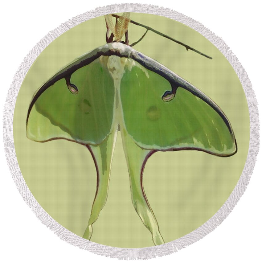 Nature Round Beach Towel featuring the mixed media Luna Moth on Green by Judy Cuddehe