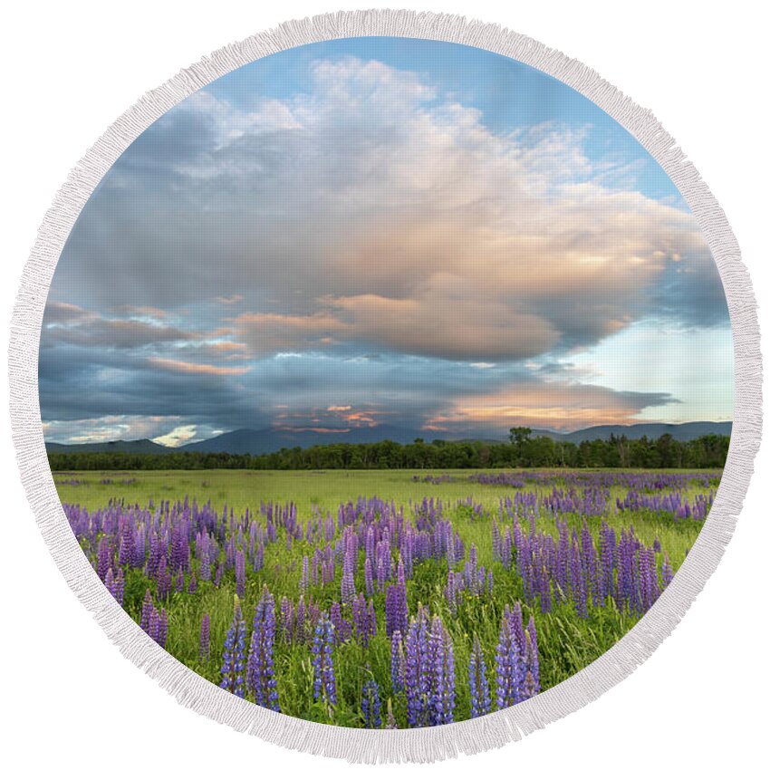 Lupine Round Beach Towel featuring the photograph Lupine Sunset Meadows Glow by White Mountain Images