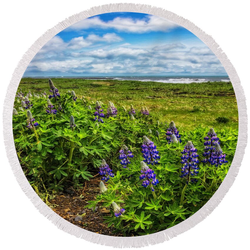 Clouds Round Beach Towel featuring the photograph Lupines at the Edge of the Sea in Square by Debra and Dave Vanderlaan