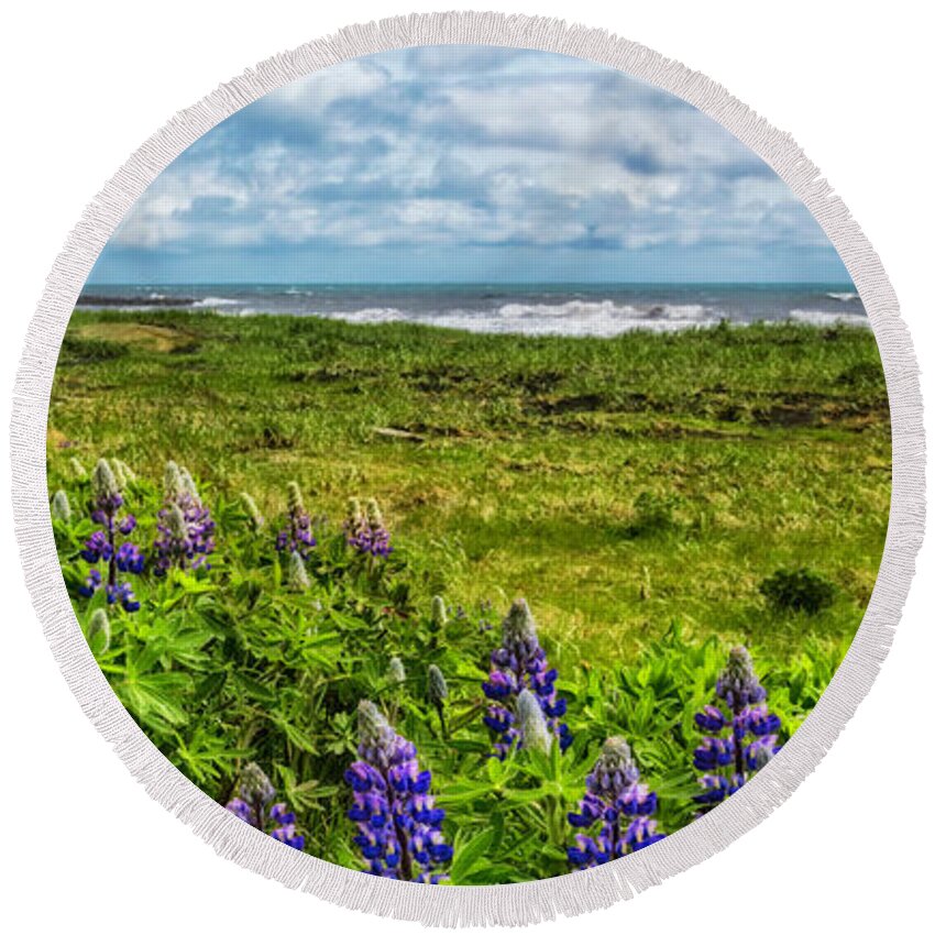 Clouds Round Beach Towel featuring the photograph Lupines at the Edge of the Sea Vertical Panorama by Debra and Dave Vanderlaan