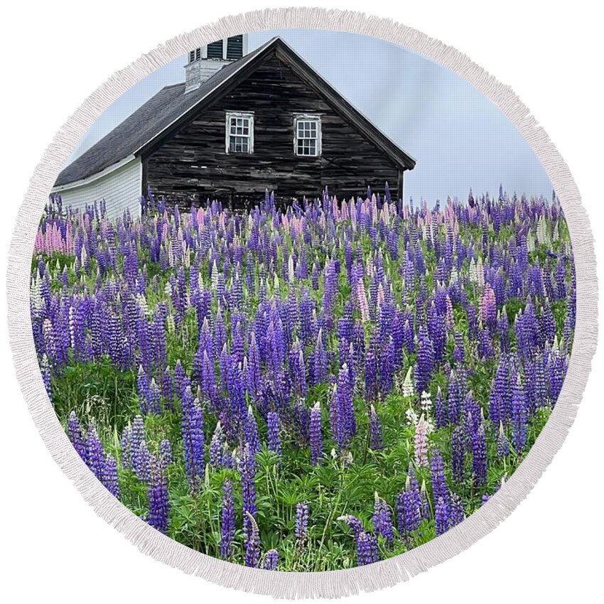 Flowers Round Beach Towel featuring the photograph Lupines Four by Caroline Stella