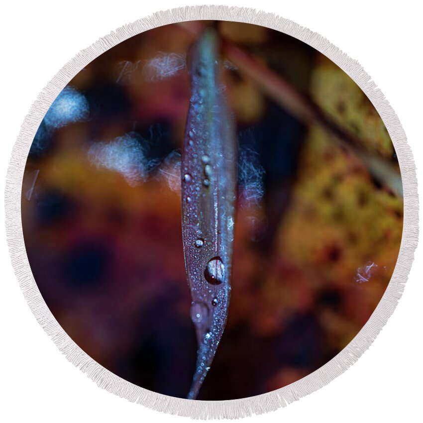 Fall Round Beach Towel featuring the photograph Macro Photography - Autumn Water Drops by Amelia Pearn