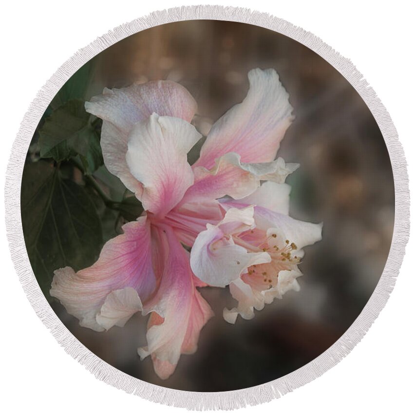 Hibiscus Round Beach Towel featuring the photograph Magic Hibiscus by Elaine Teague