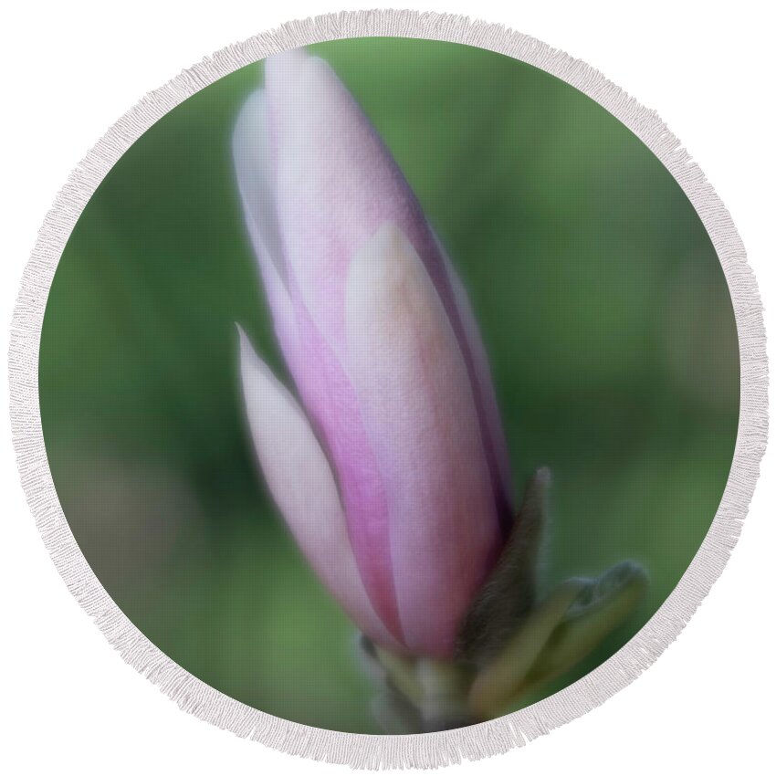 Magnolia Round Beach Towel featuring the photograph Magnolia Bud by Forest Floor Photography