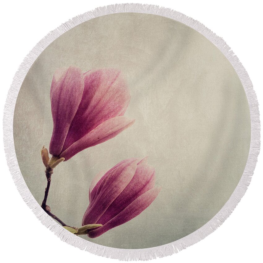 Magnolia Round Beach Towel featuring the photograph Magnolia flower on art texture by Jelena Jovanovic