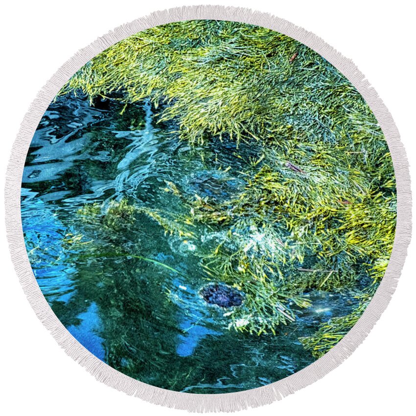 South Freeport Harbor Maine Round Beach Towel featuring the photograph Maine Seaweed by Tom Singleton