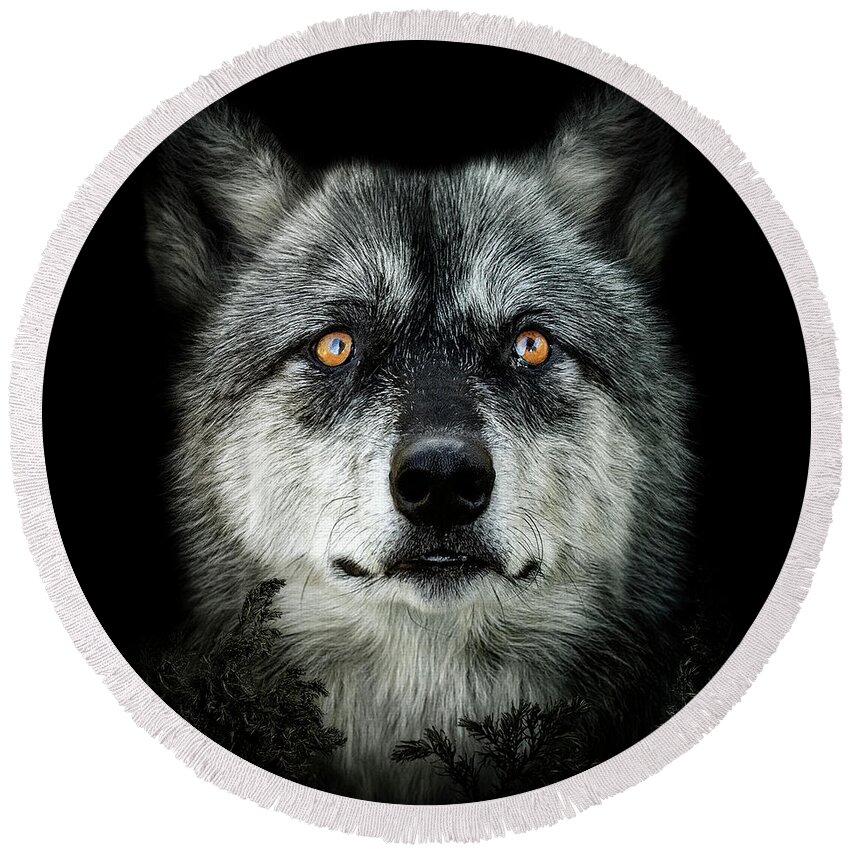Wolf Round Beach Towel featuring the digital art Majestic by Maggy Pease