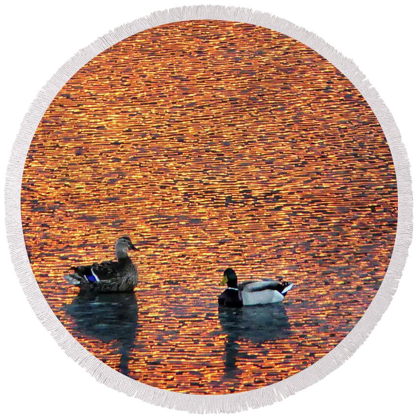 River Round Beach Towel featuring the photograph Mallards on Danvers River at Sunset by Scott Hufford
