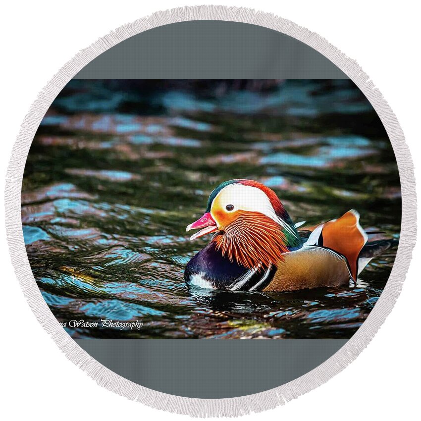 Duck Round Beach Towel featuring the photograph Mandarin in Paris by Tahmina Watson