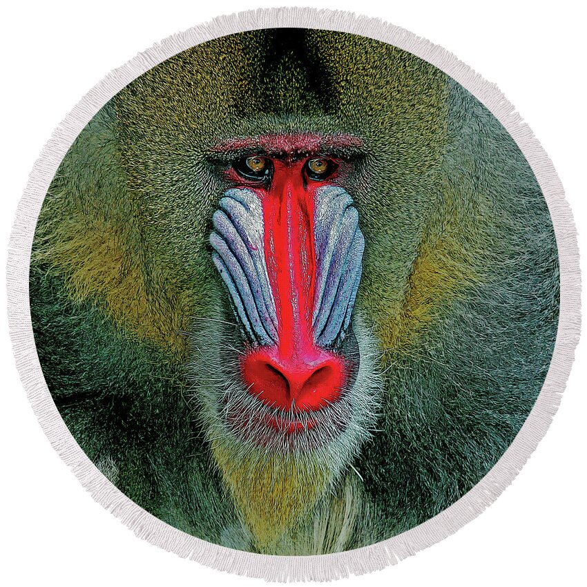 Baboon Round Beach Towel featuring the digital art MANDRILL BABOON cps by Larry Linton