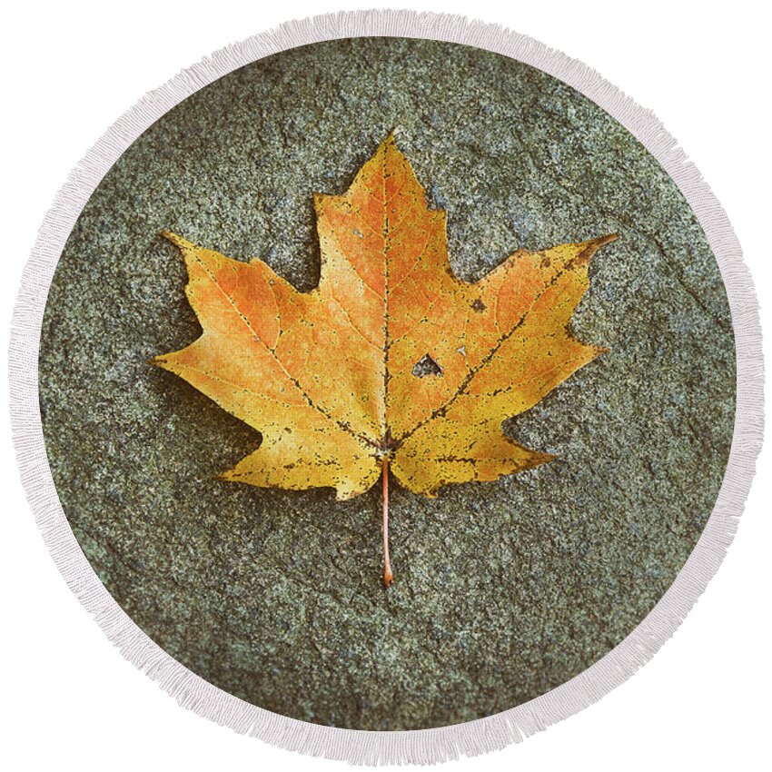 Leaf Round Beach Towel featuring the photograph Maple Leaf on Stone by Scott Norris