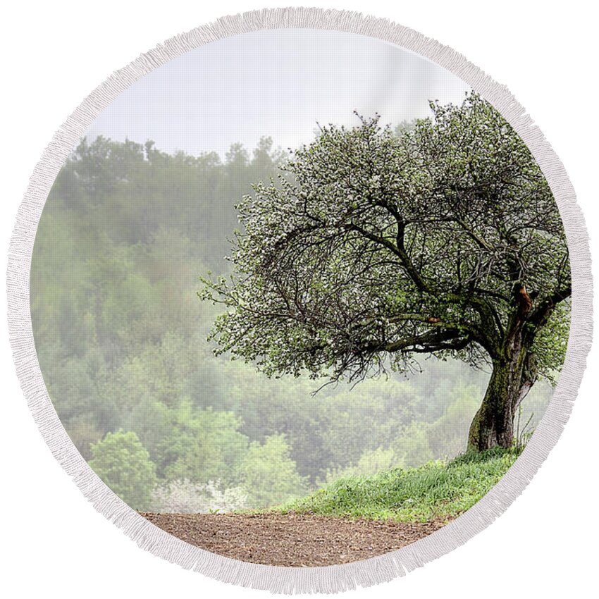 Trees Round Beach Towel featuring the photograph Marilla Tree by Don Nieman