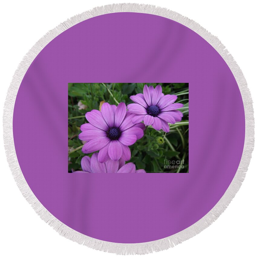 Flowers Round Beach Towel featuring the photograph Mauve Muses by Kimberly Furey