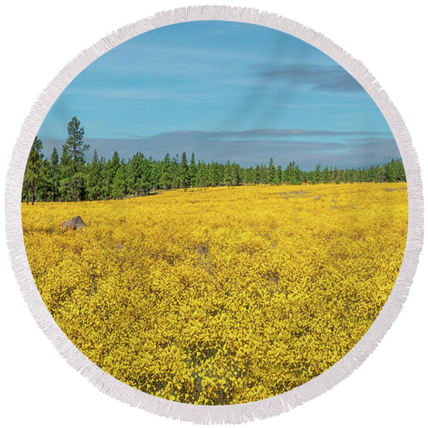 Arizona Round Beach Towel featuring the photograph Meadow of Yellow Wildflowers by Jeff Goulden