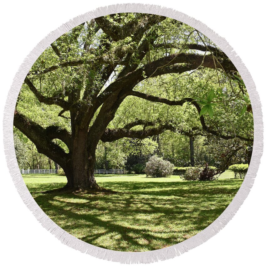 Melrose Round Beach Towel featuring the photograph Melrose Estate, Natchez by Ron Long
