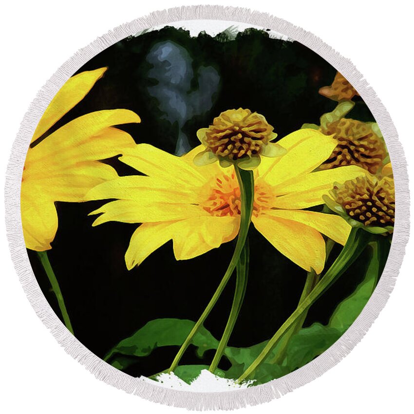 Flower Round Beach Towel featuring the digital art Mexican Sunflower by Chauncy Holmes