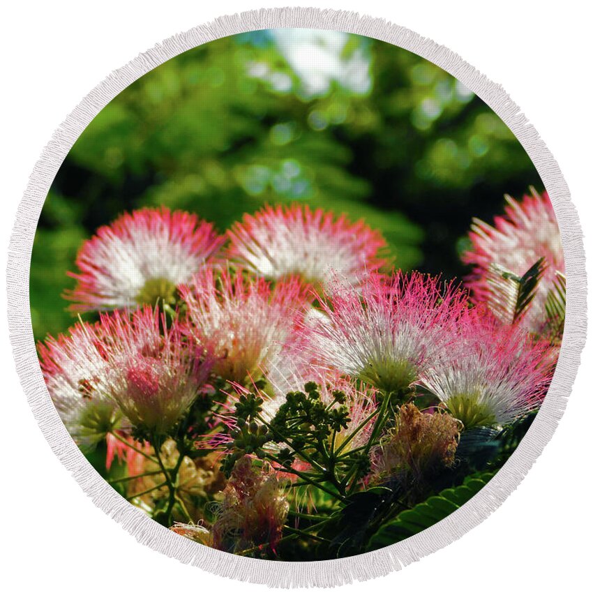 Flower Round Beach Towel featuring the photograph Mimosa by Carl Moore