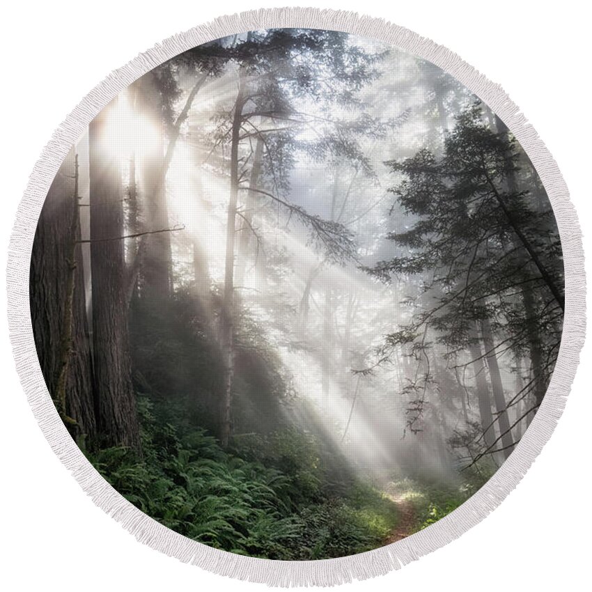 Alder Round Beach Towel featuring the photograph Mist On Last Chance Coastal Trail 4 by Al Andersen