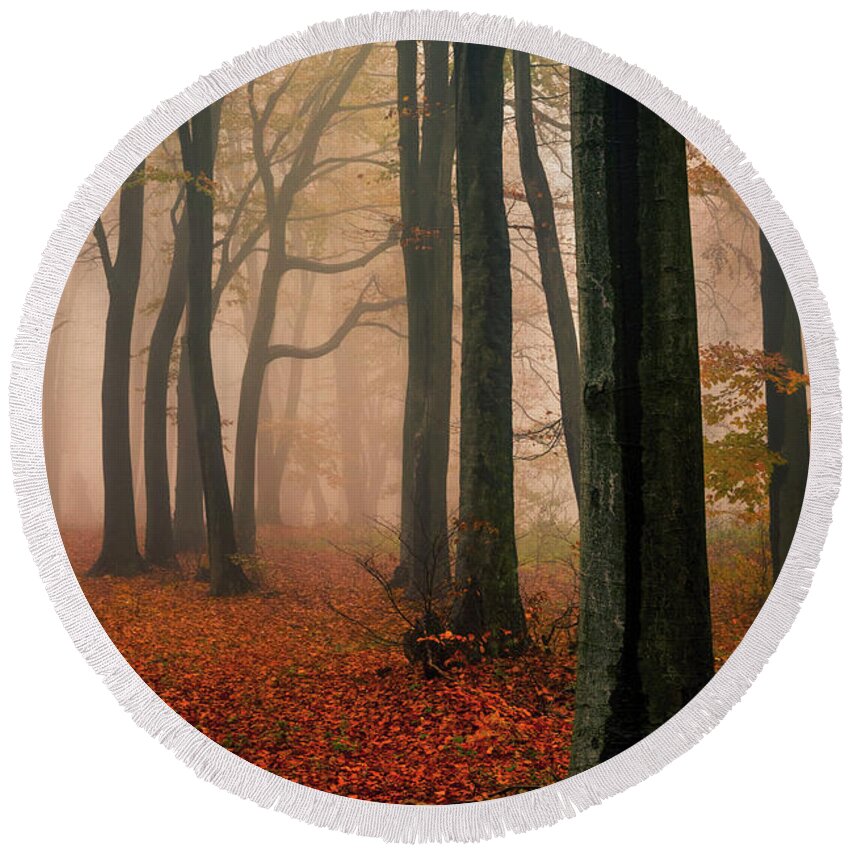 Balkan Mountains Round Beach Towel featuring the photograph Misty Autumn Forest by Evgeni Dinev