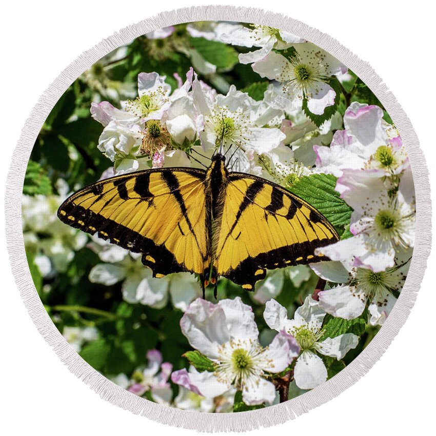 Animals Round Beach Towel featuring the photograph Monarch Butterfly by Louis Dallara