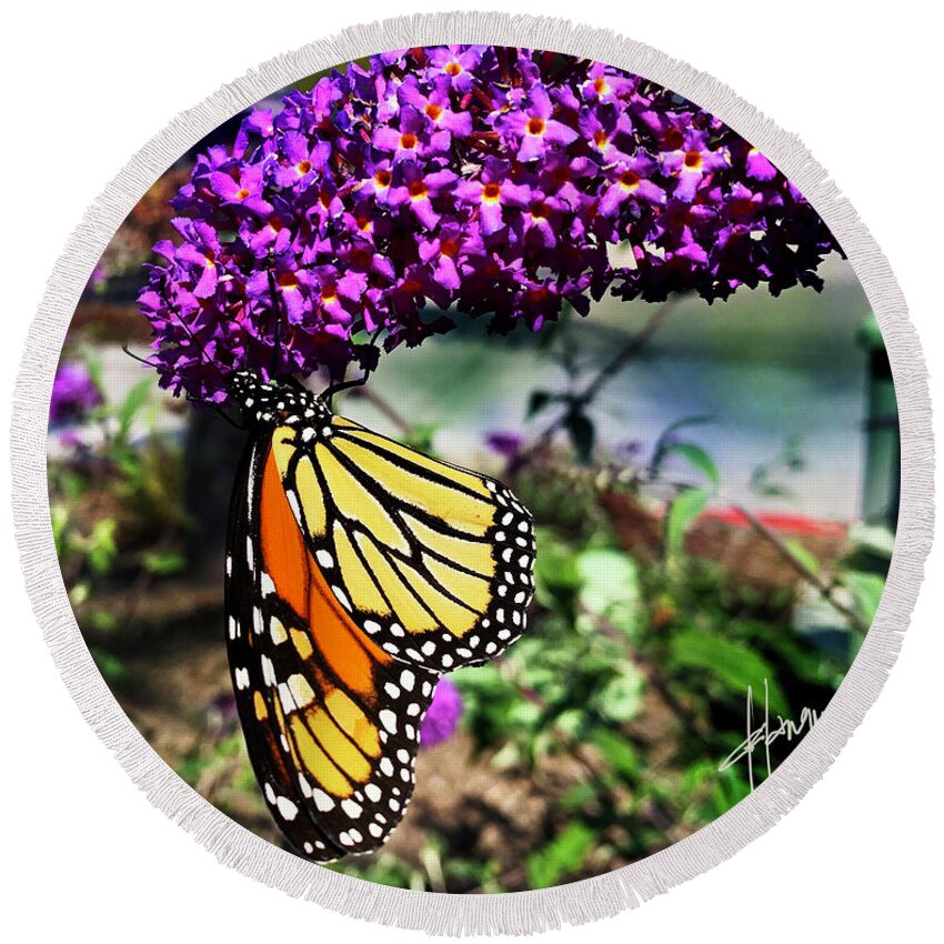 Monarch Round Beach Towel featuring the photograph Monarch Butterfly on a Magenta Flower by DC Langer